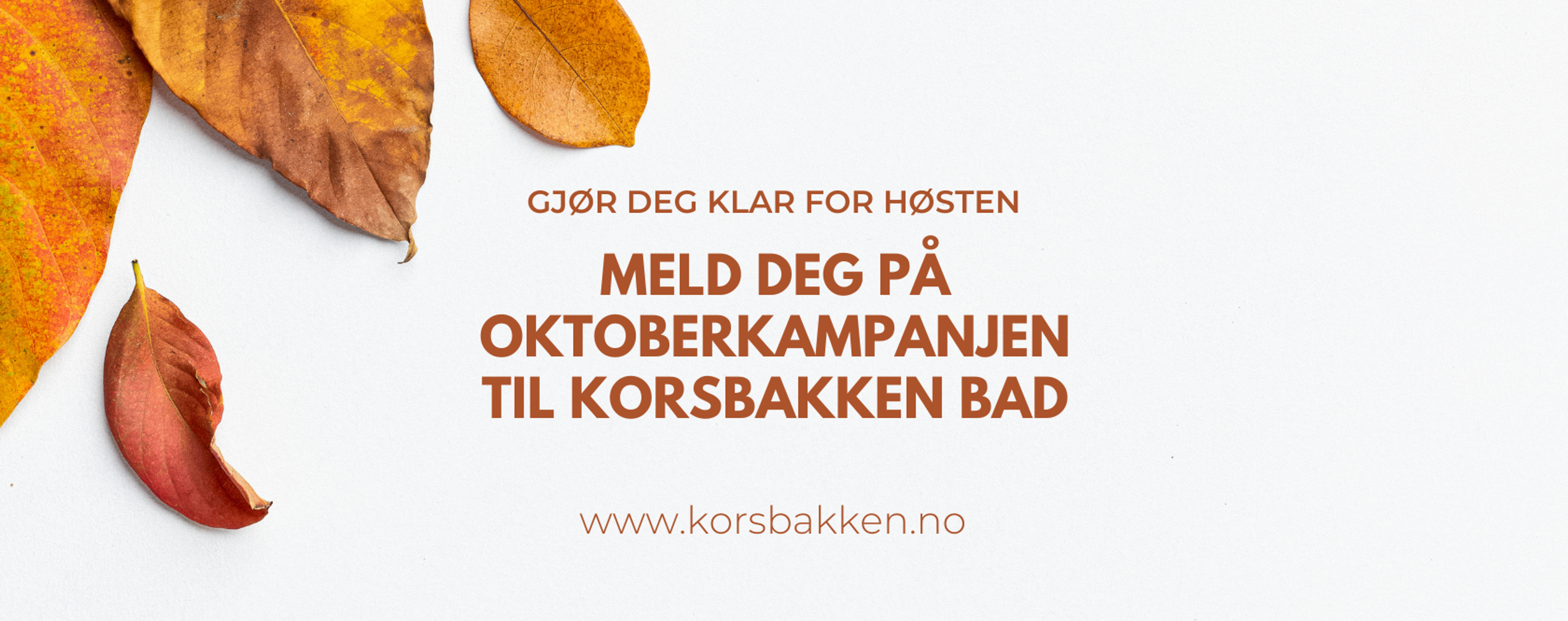 Bilde til «Bli med på Oktoberkampanjen»