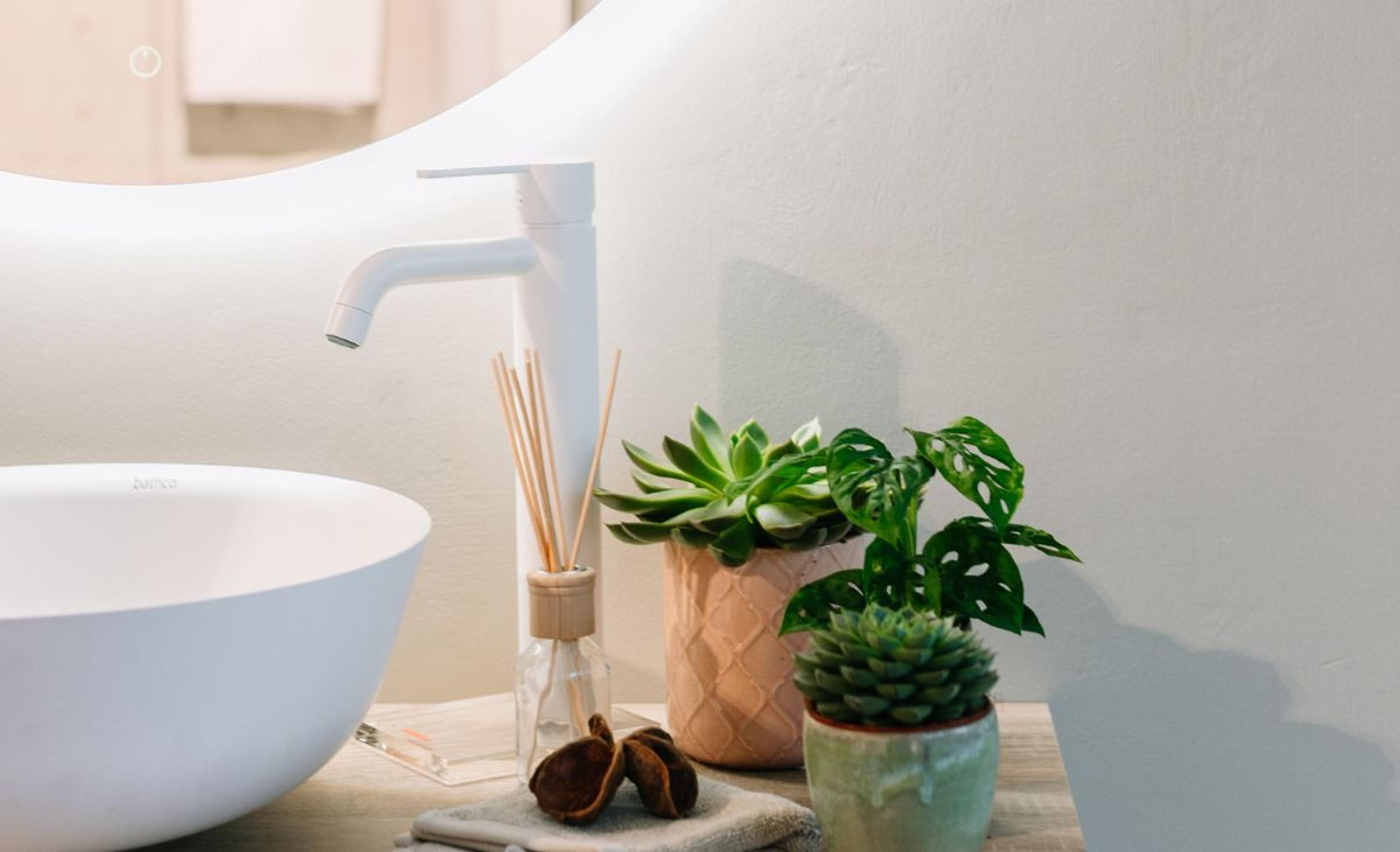 Bilde til «Grønne planter som trives på badet»