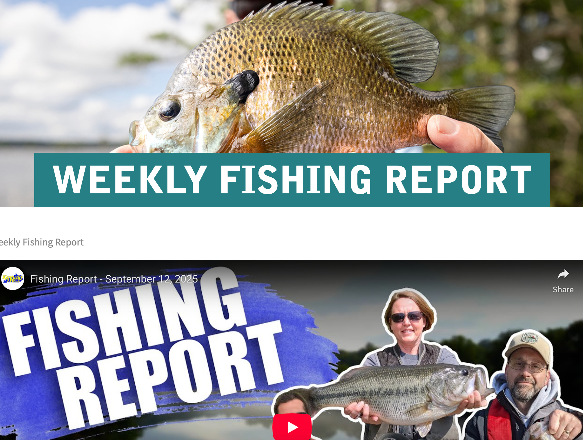 Cover image for Kentucky Afield Weekly Fishing Report