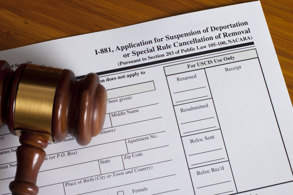Image Deportation Image