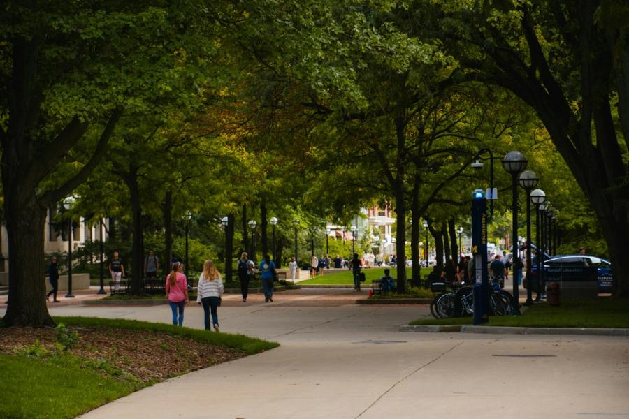 Students walking along a tree-lined campus path