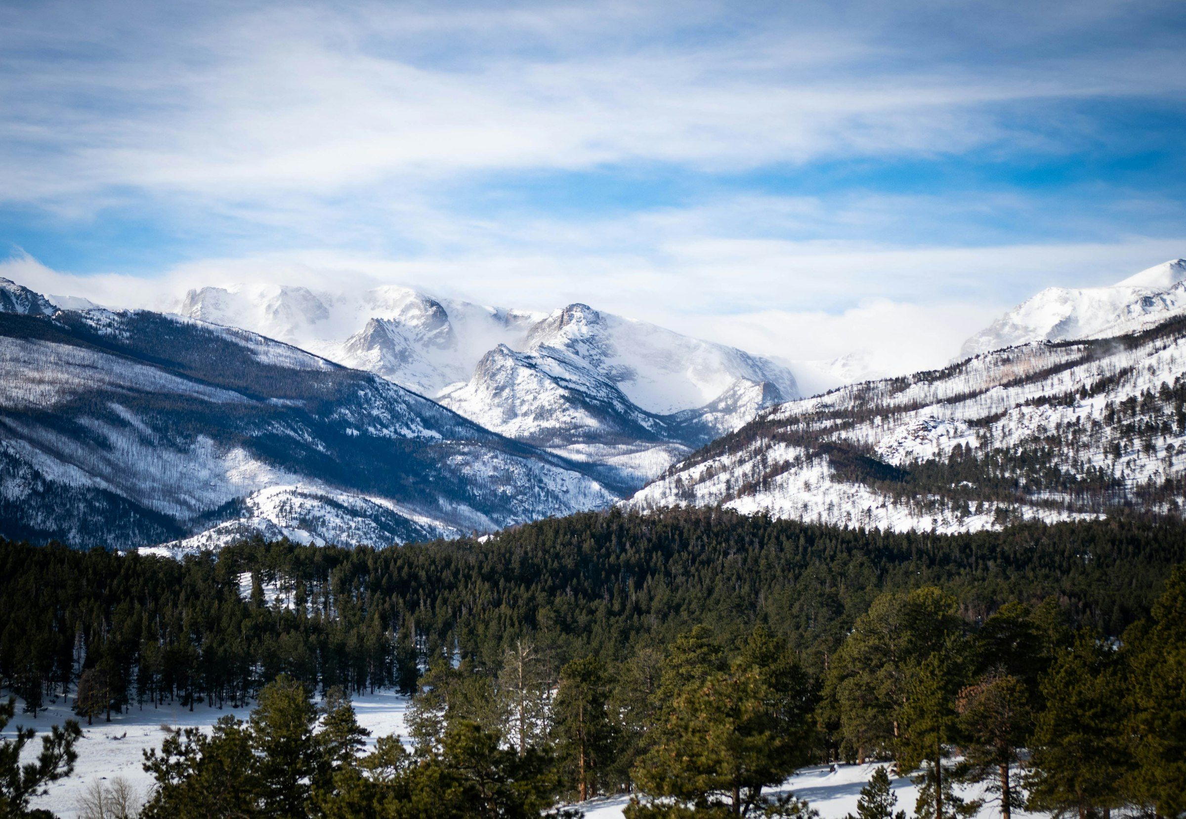 Snow on the Rockies in winter, above a pine forest