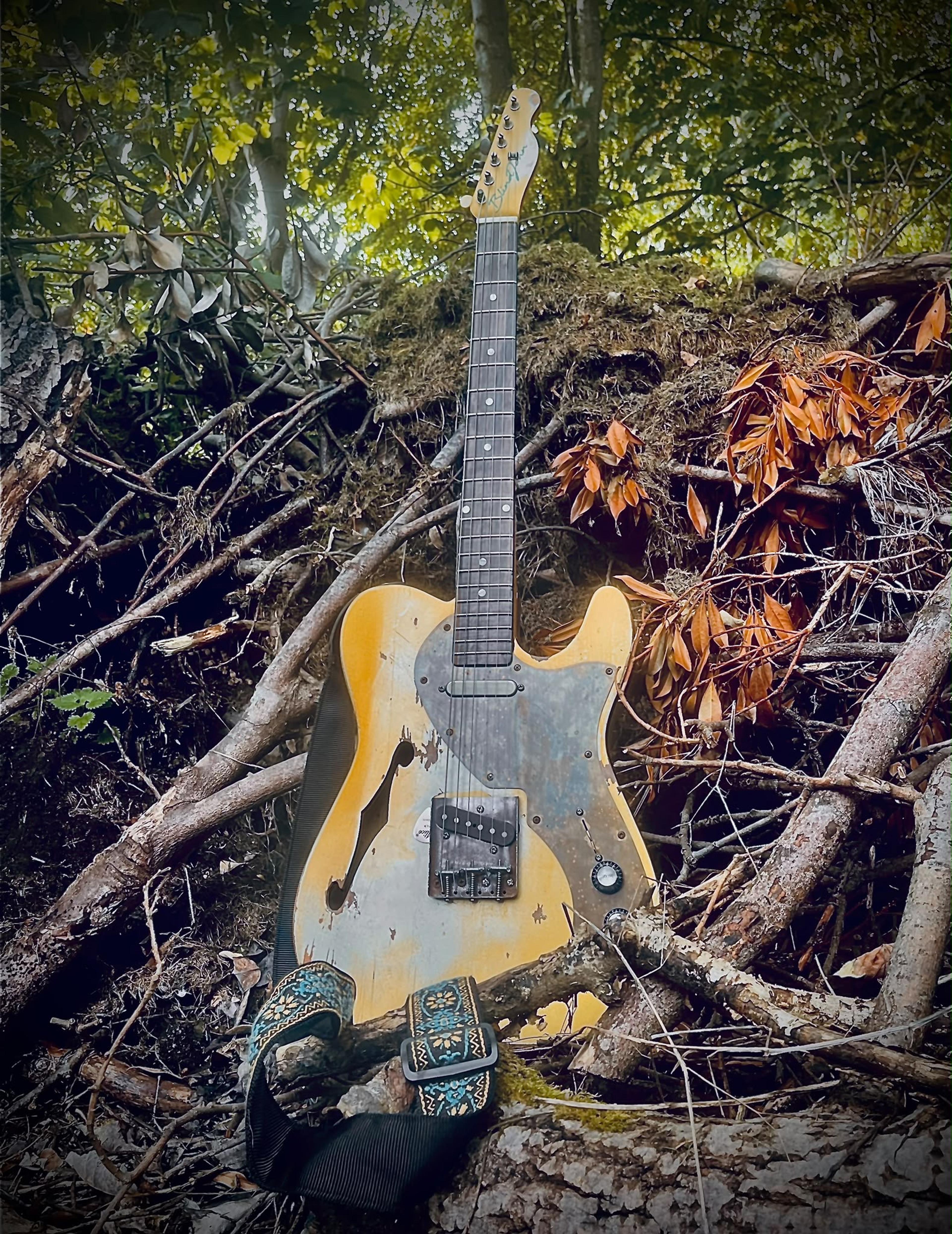 In the woods