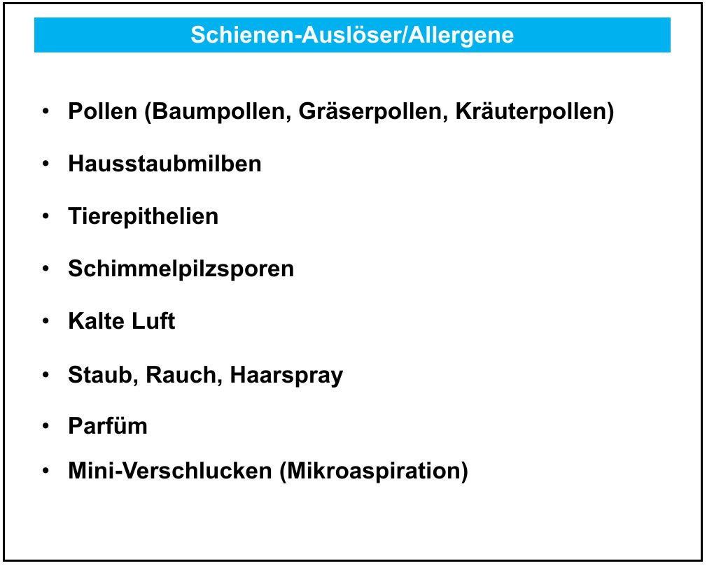Übersicht möglicher Auslöser: Pollen, Hausstaubmilben, kalte Luft, Parfüm und weitere