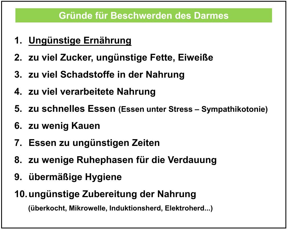 Rainers Folie mit den handfesten Gründen für Darmbeschwerden, von ungünstiger Ernährung bis zu wenig Kauen (C Darmpräsentation Rainer Körner)