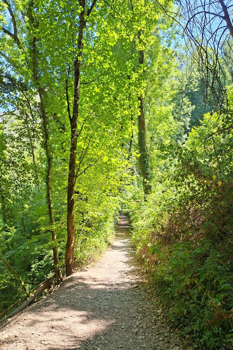 Chemin ombragé dans les bois autour de Saint-Marcellin