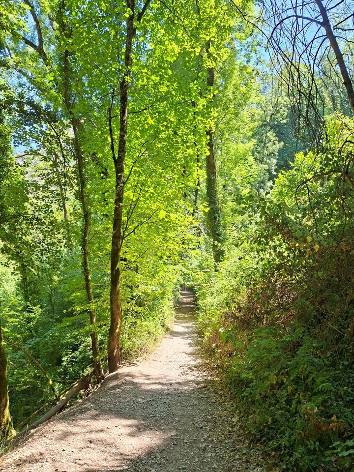 Chemin ombragé dans les bois autour de Saint-Marcellin
