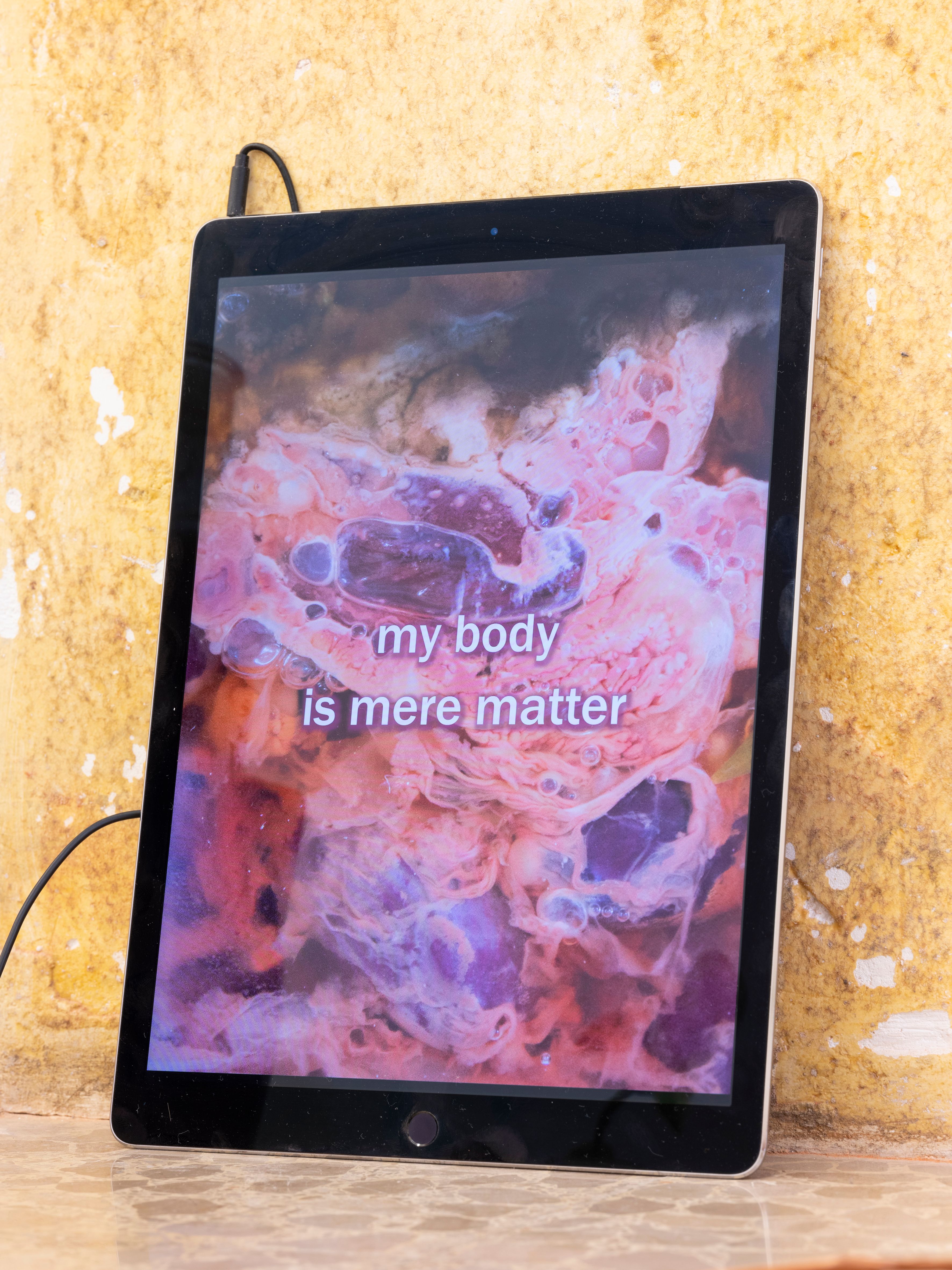 I'll show you everything I've seen  6