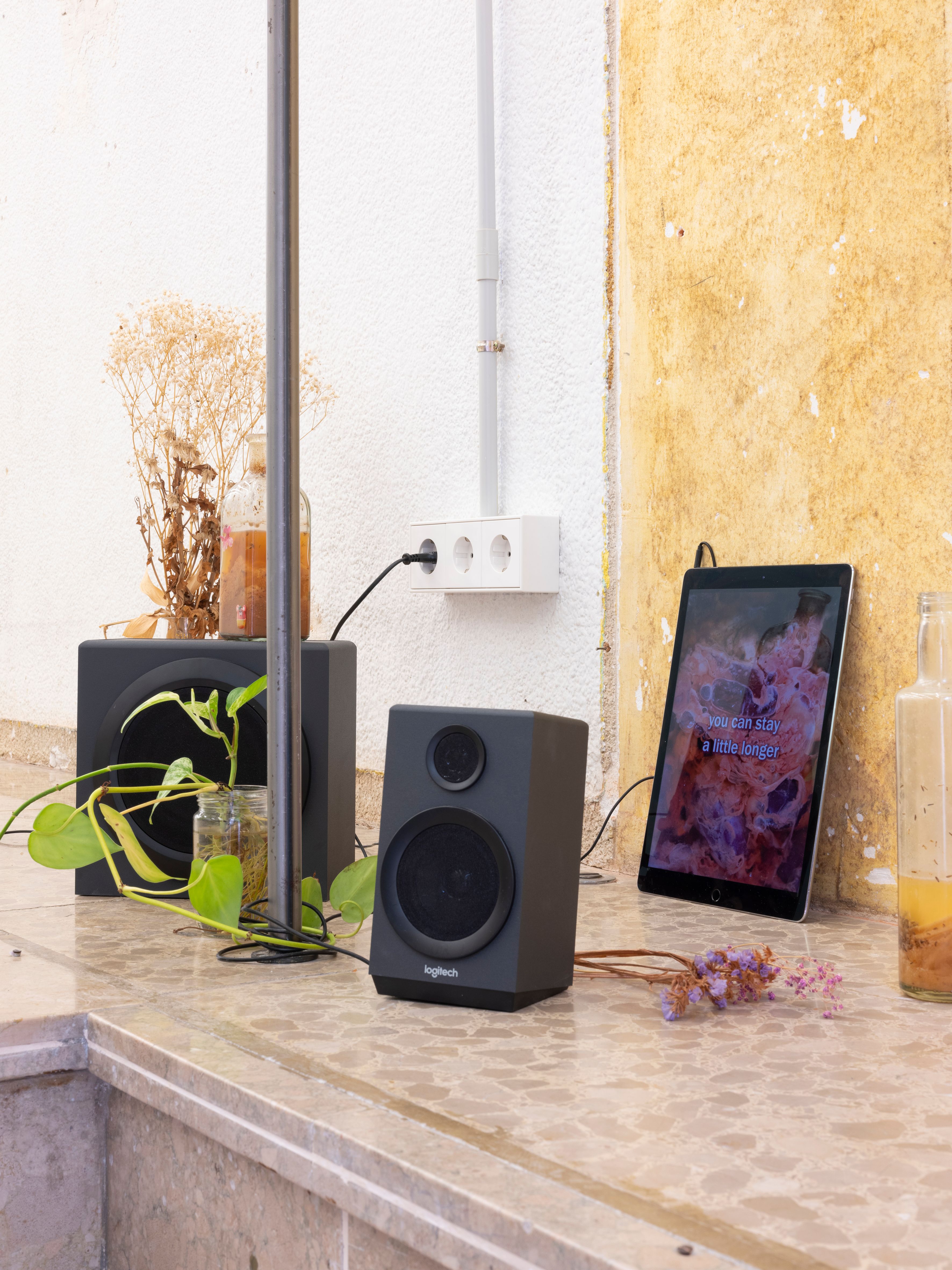 I'll show you everything I've seen  4