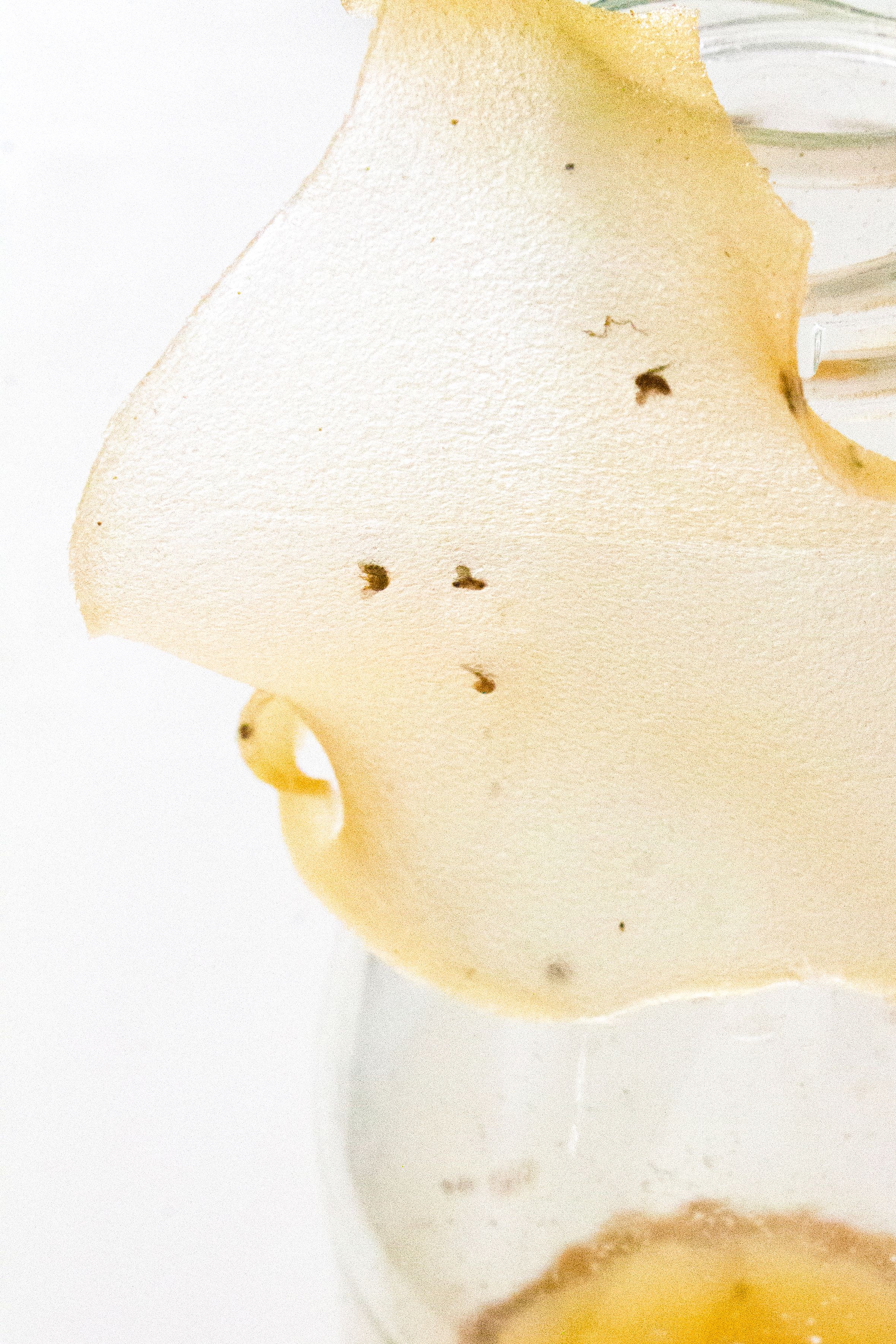 Unsteady Consistency 4