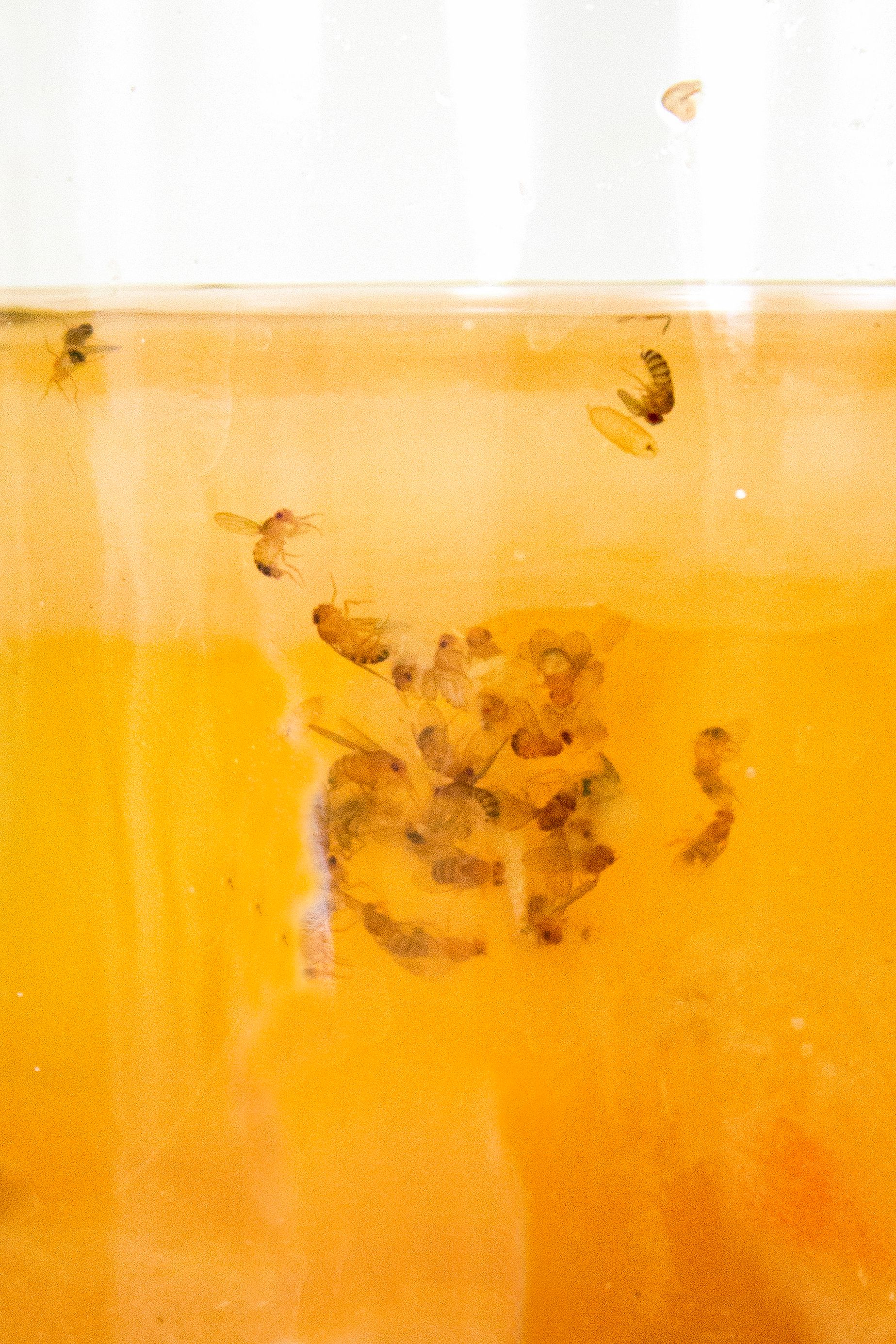 Unsteady Consistency 2