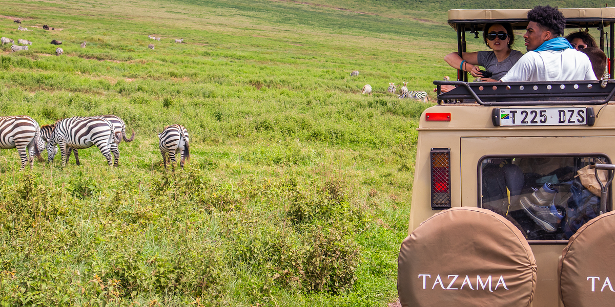 tourist's enjoying safari