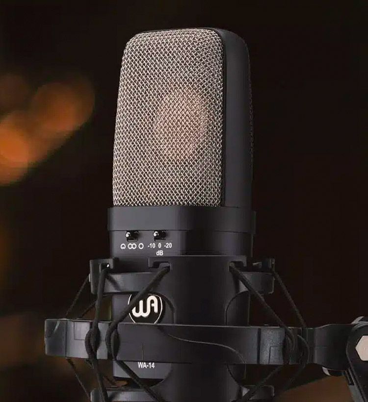 Close-up of condesner microphone