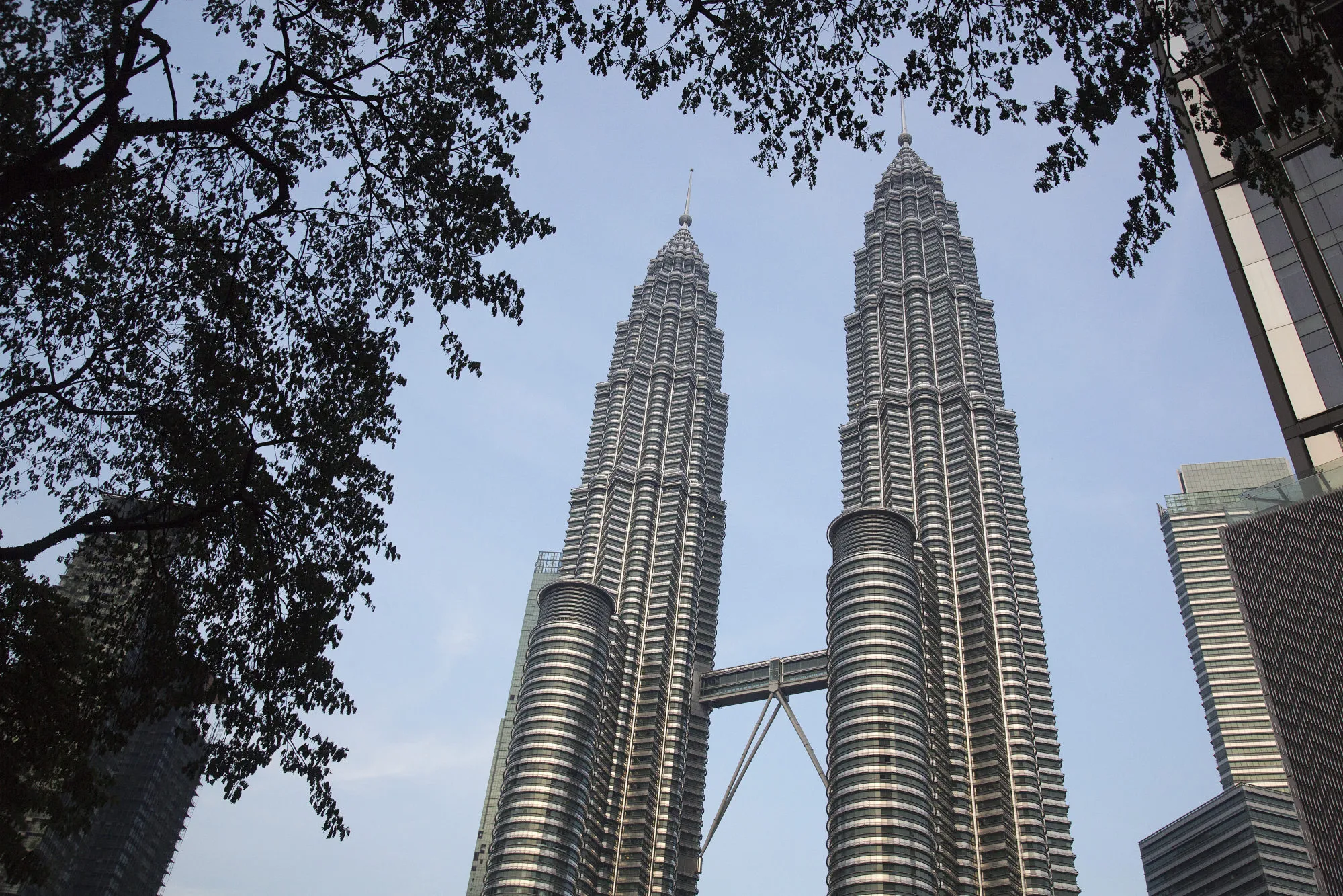 double building  - Building type thumbnail