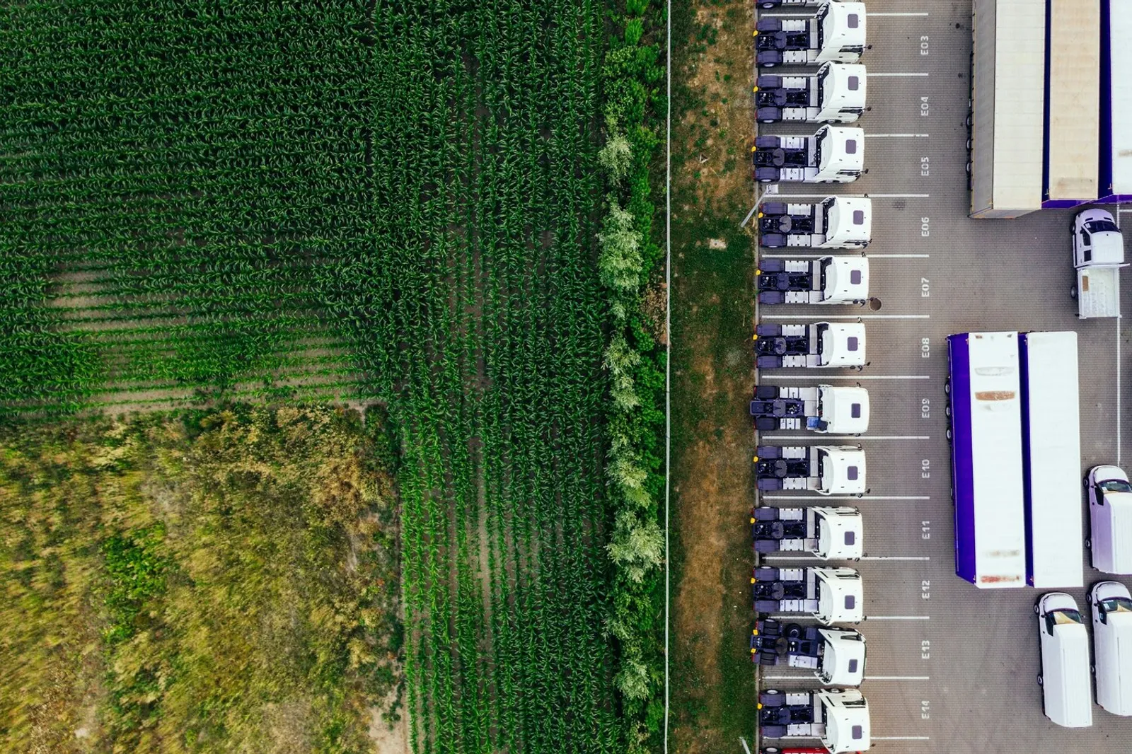 Trucking in 2026…