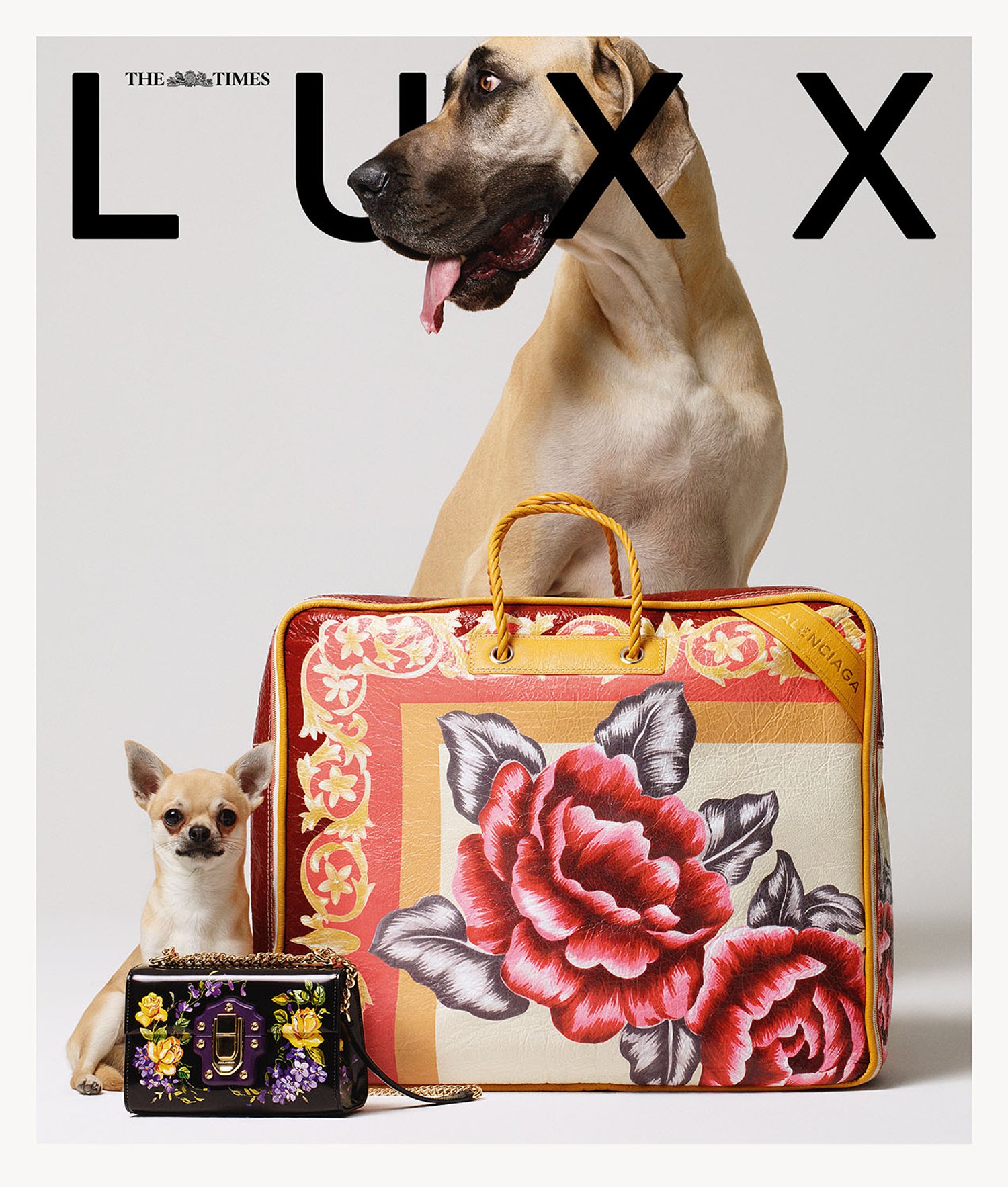 B.A.M The Times LUXX