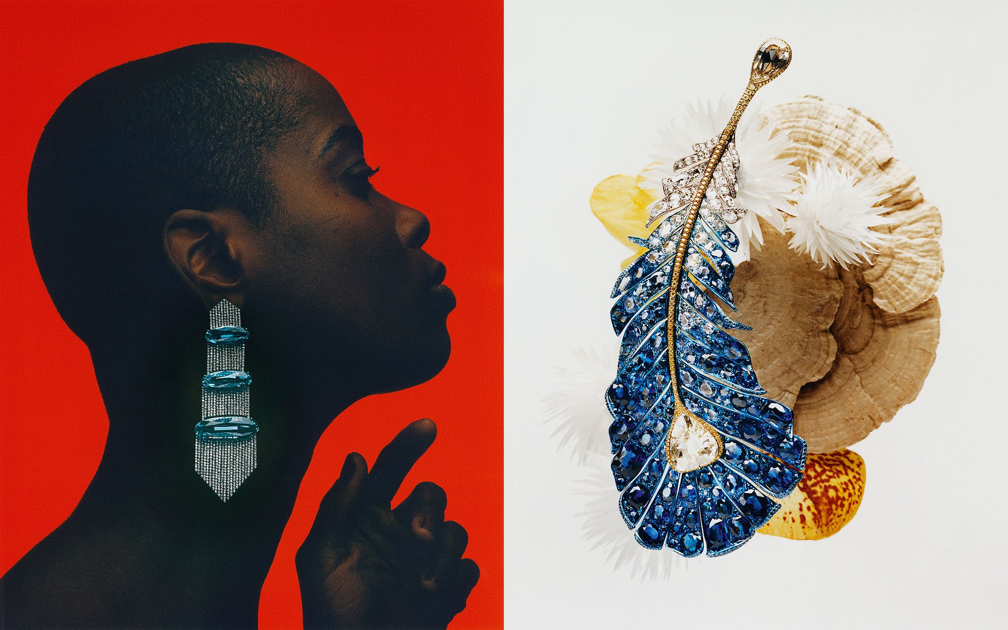 The Times LUXX – B.A.M