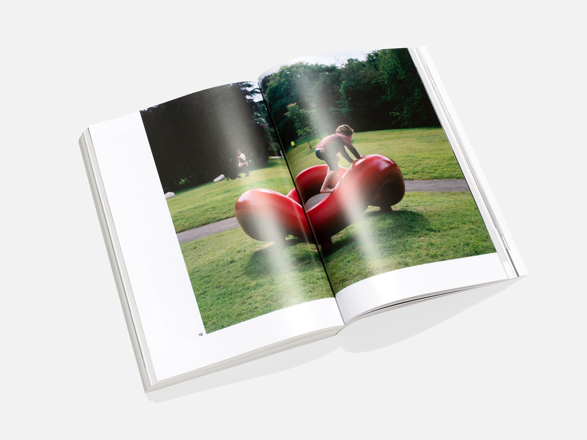 White Cube Companion – Publication – B.A.M