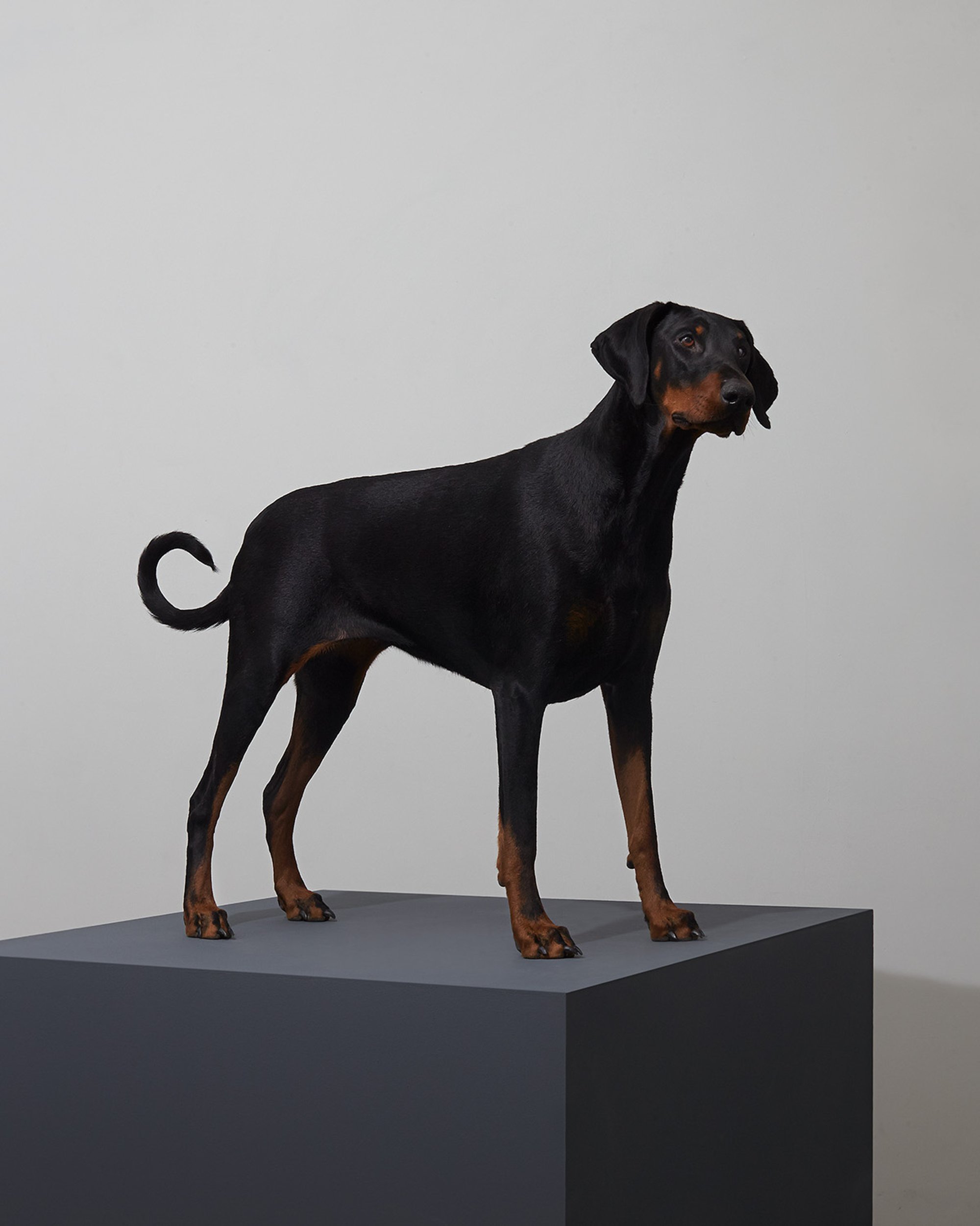 Esquire: The Big Black Book – Creative Direction – B.A.M