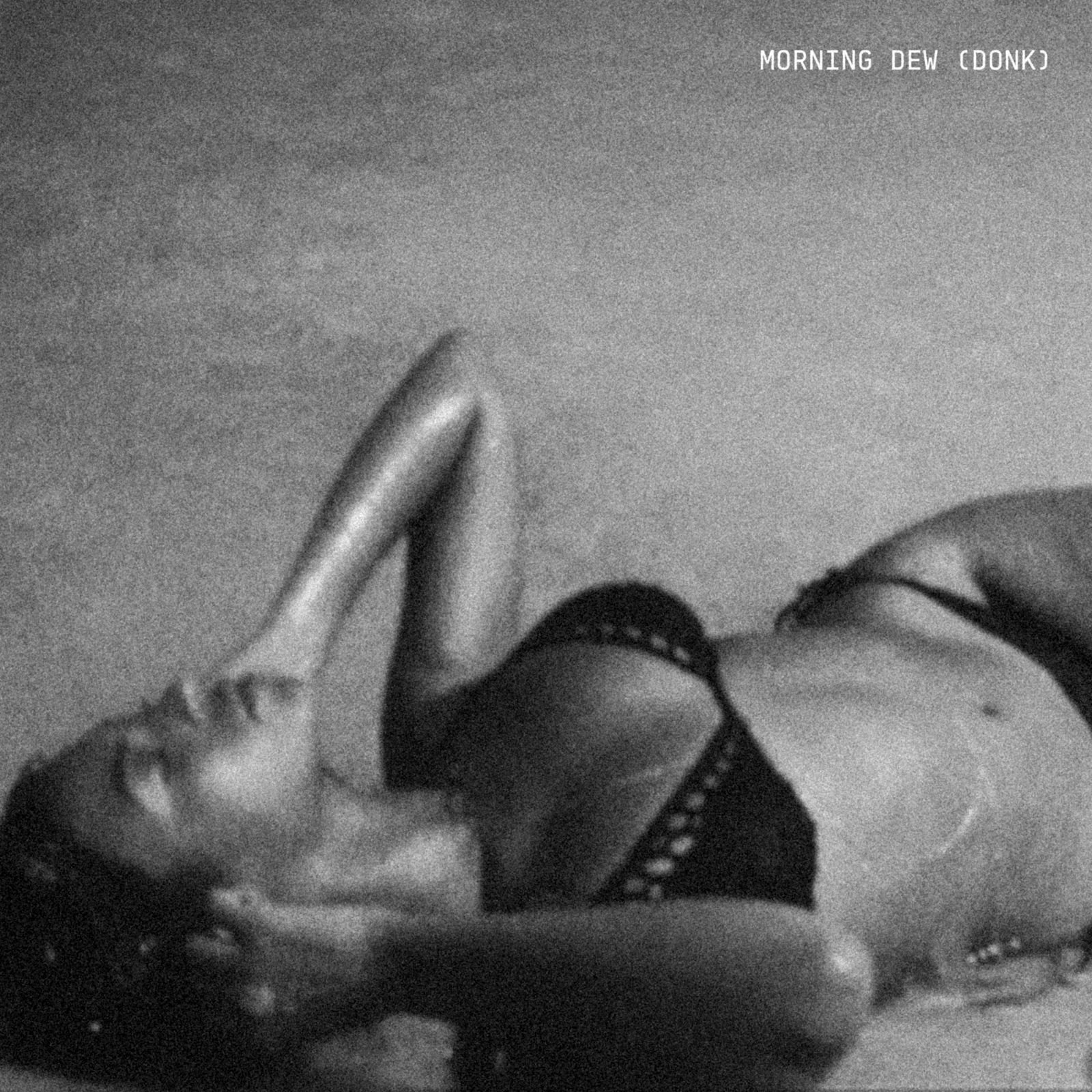 Beyoncé – Morning Dew (Donk)