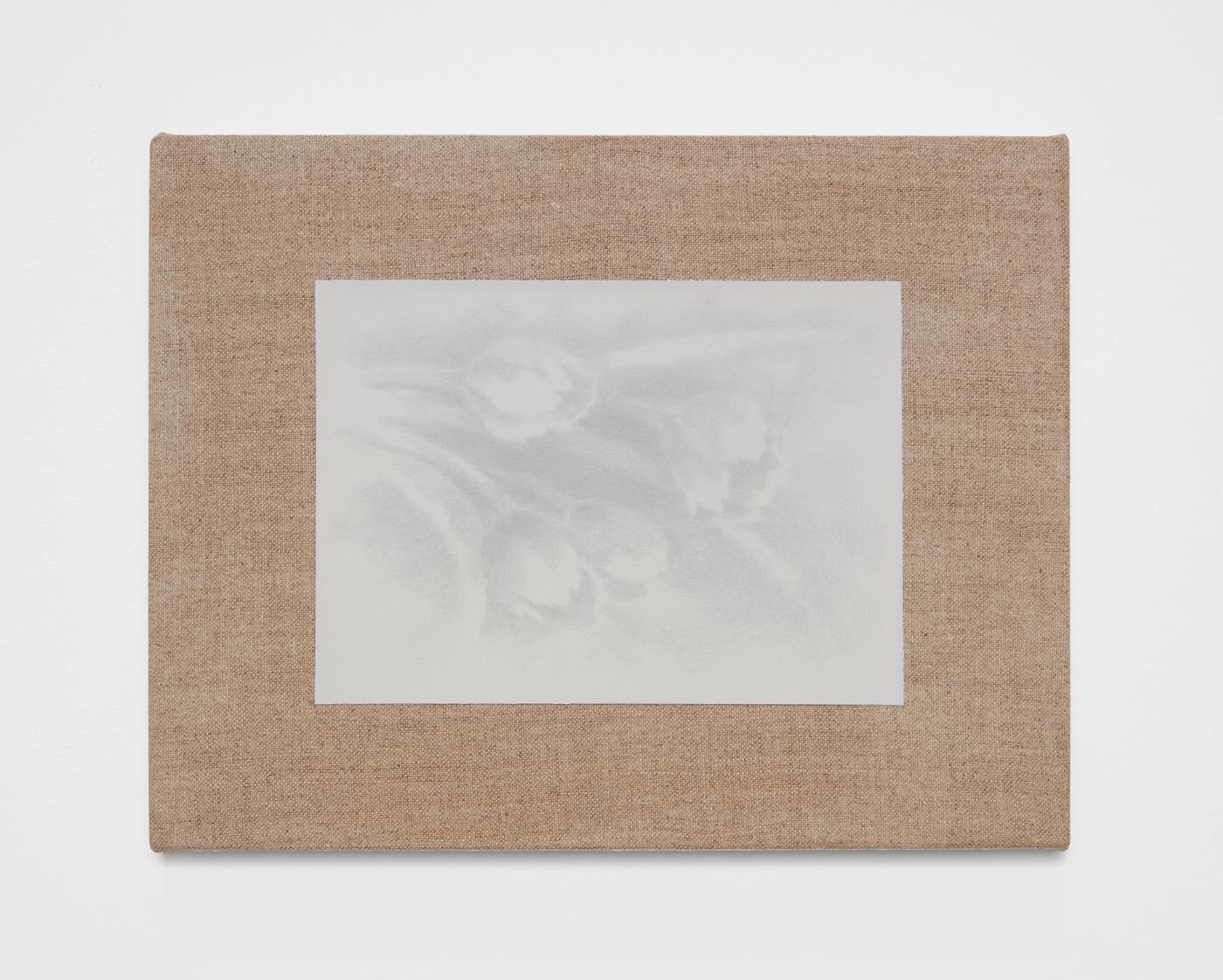 Image of Pencil Sketch Study of Tulips, 2024: Color pencil and gesso on linen