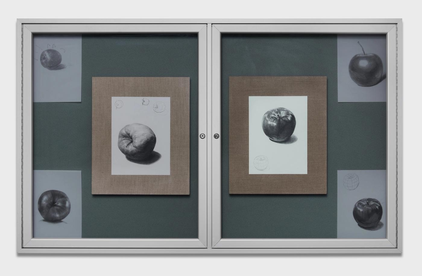 Image of Can you tell the level of an apple just by looking at its sketch?, 2025: Graphite on paper, encased in aluminum a vinyl frame