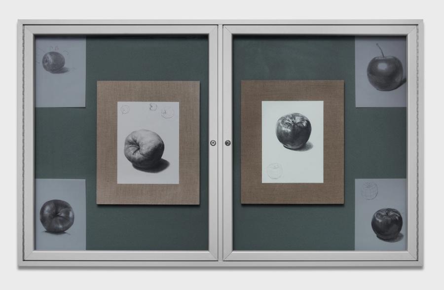 Can you tell the level of an apple just by looking at its sketch?