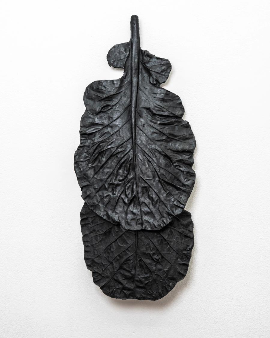 Two Overlapping Collard Leaves