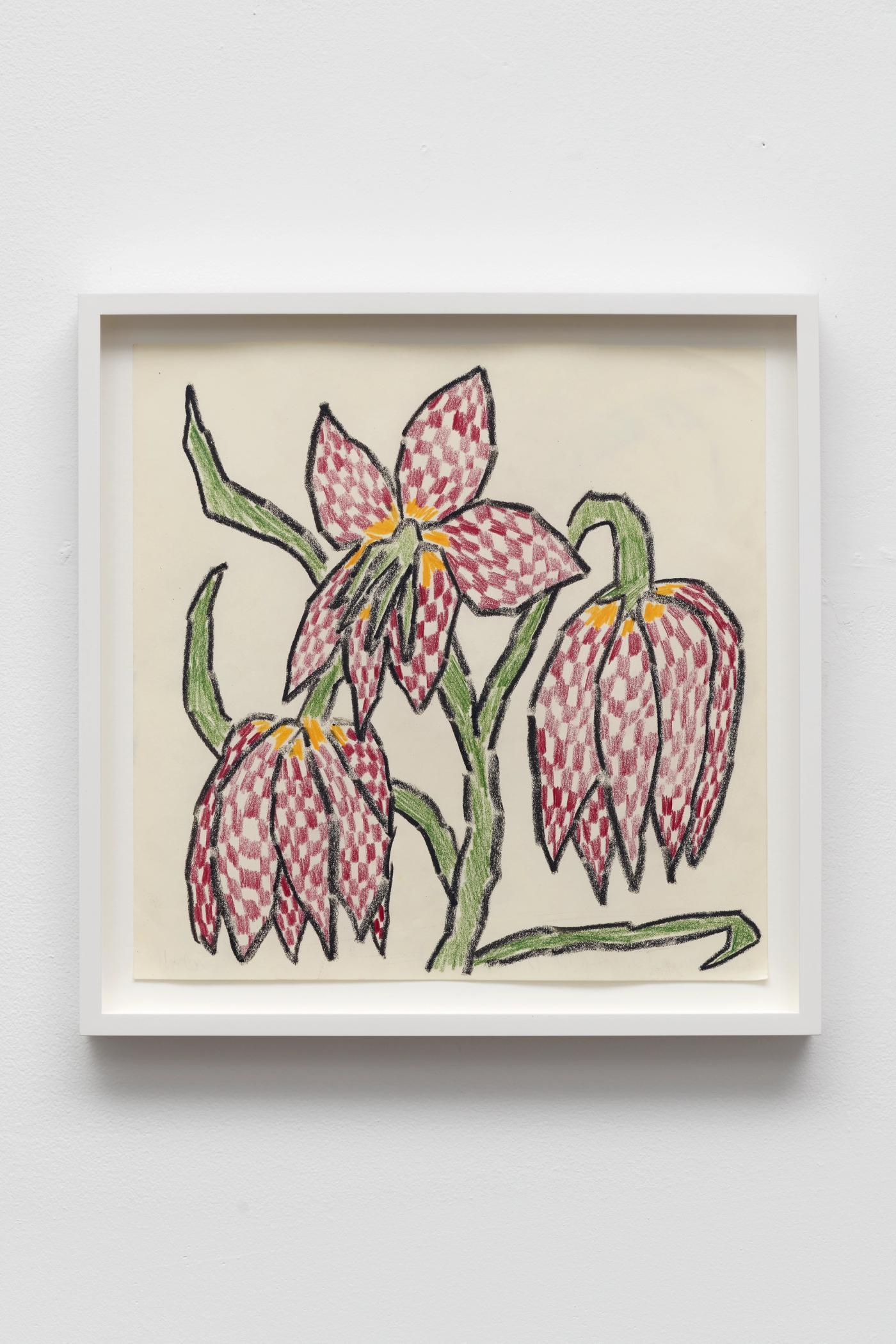 Image of Florilegium (Checkers), 2024: Oil stick and colored pencil on paper