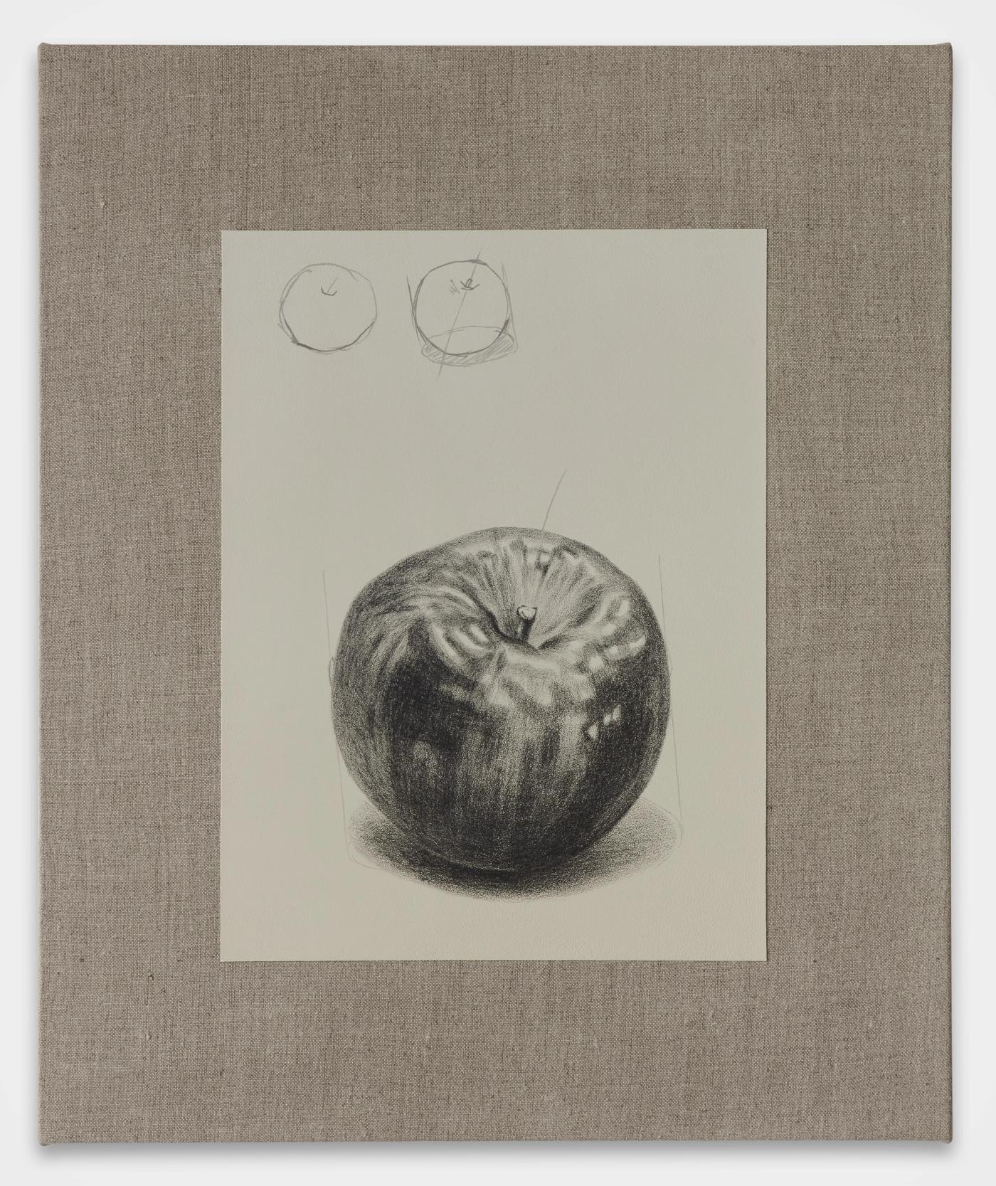 Image of Drawing an Apple in 3 Steps, 2025: Oil, acrylic, and graphite on linen

Painting inside of Improve your drawing skills with just one drawing! Final Exam, 2025