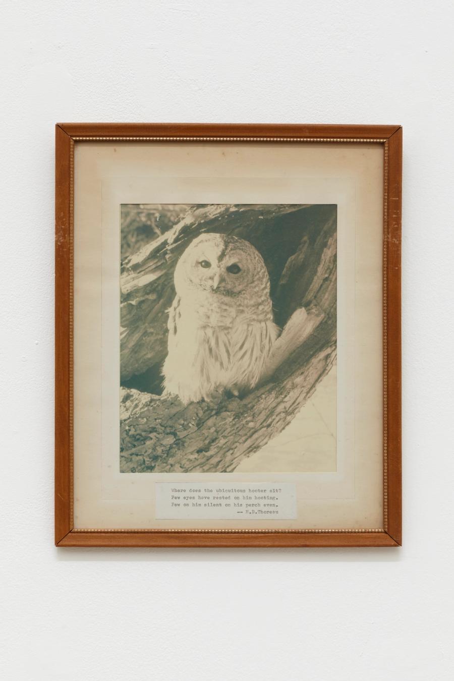 Boswell, Photo by Morgan Bulkeley III, 1969