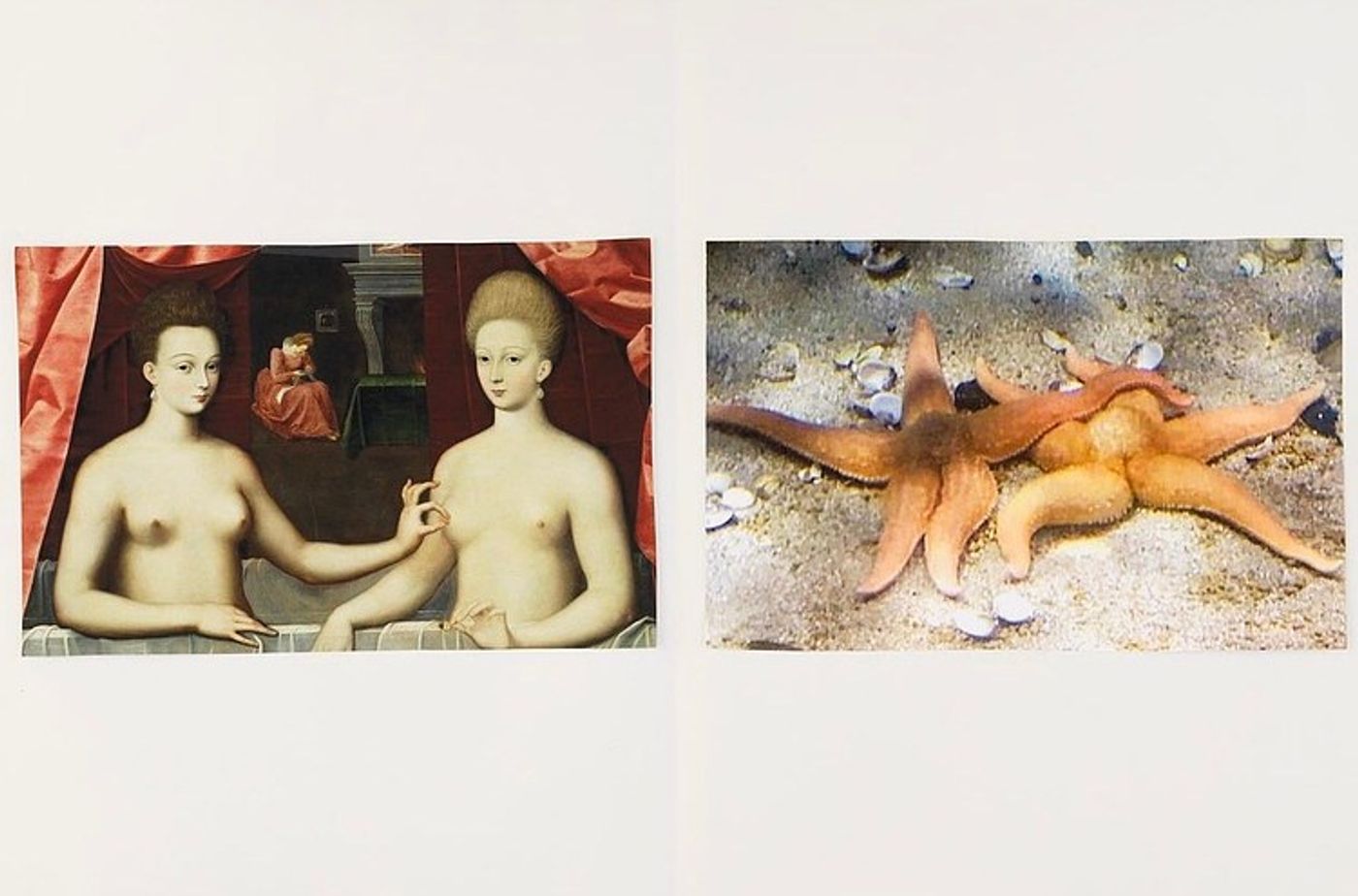 Image of Comparison (touch), 2020: Collage on paper