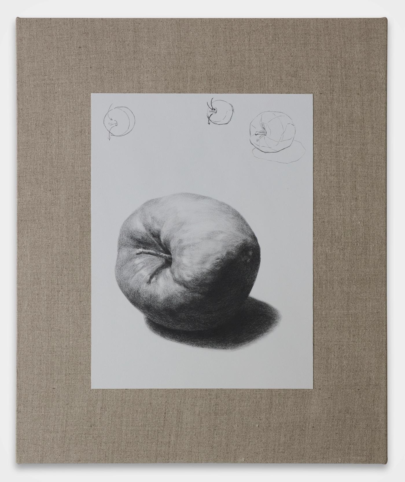 Image of [Entrance Exam Art] How to draw an oddly shaped apple, 2025: Oil, acrylic, and graphite on linen


Painting inside of Can you tell the level of an apple just by looking at its sketch?, 2025
