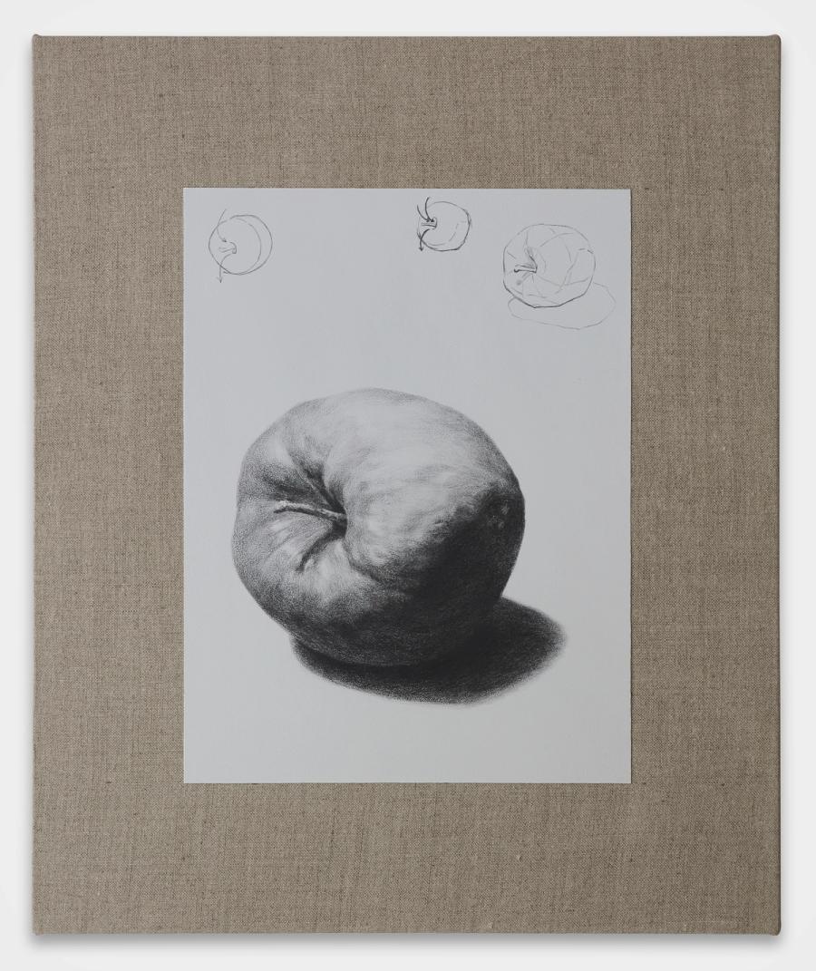[Entrance Exam Art] How to draw an oddly shaped apple