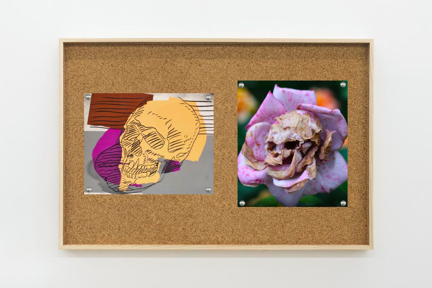 Image of Warhol/flower, 2025: Collage on corkboard