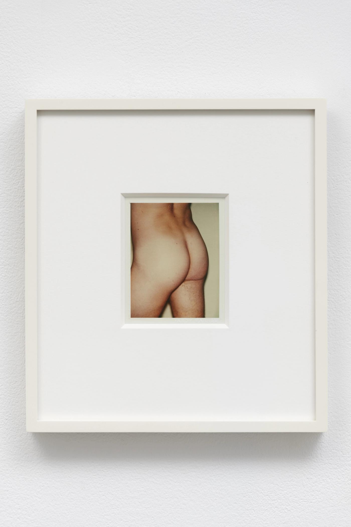 Image of Torso (1/4), 1976: Unique polaroid print (Polacolor Type 108)