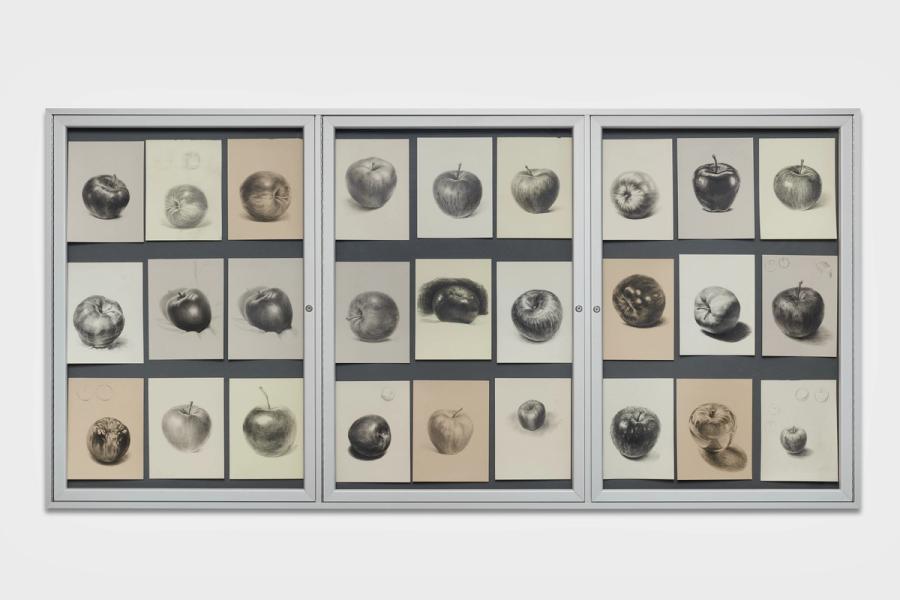 Basics of academic drawing: Let's start by drawing an apple