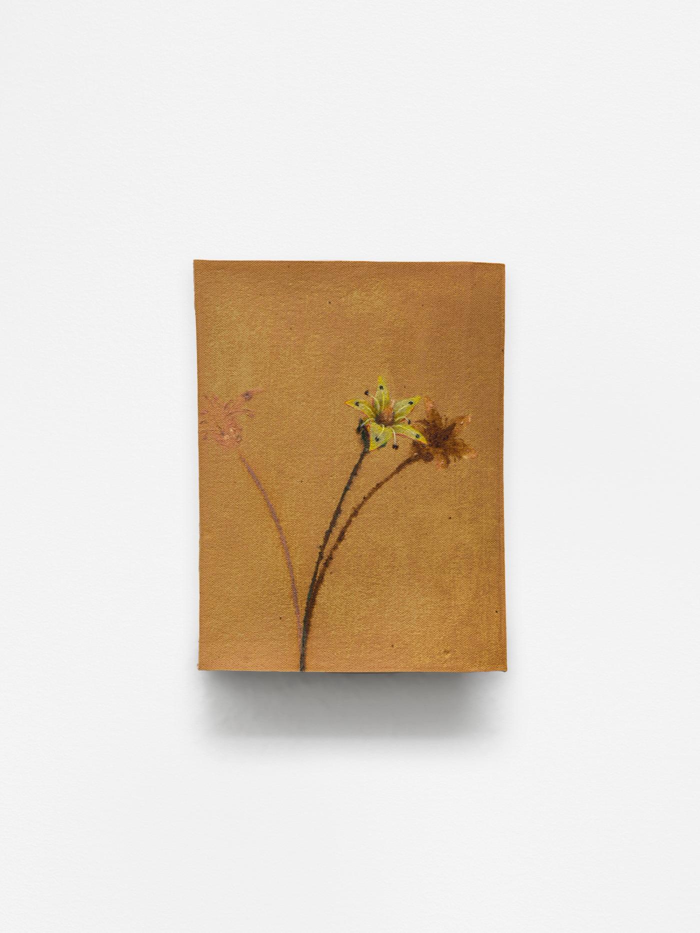 Image of 1 ghost plant (con ombra), 2026: Oil on ceramic
