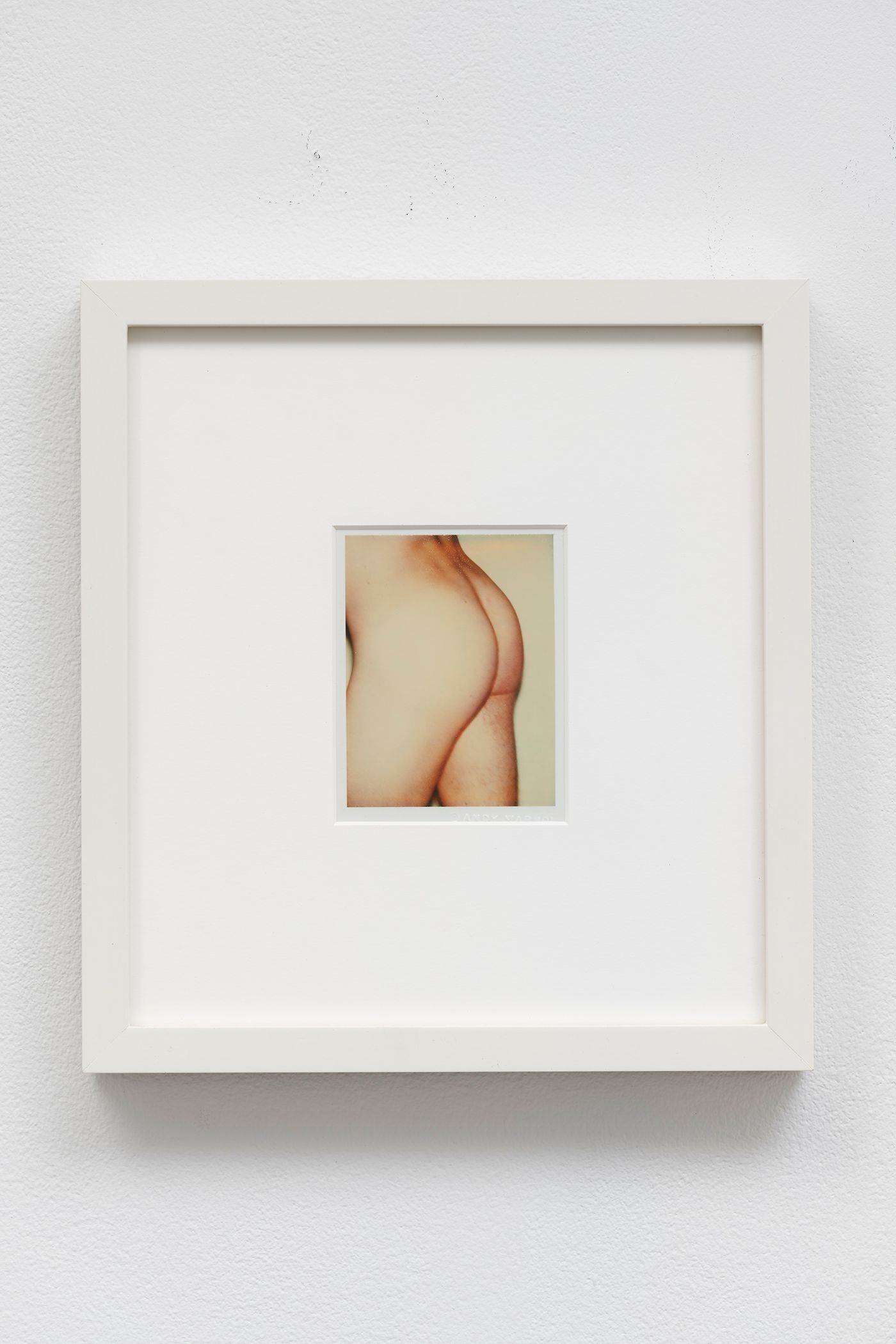 Image of Torso (2/4), 1977: Unique polaroid print (Polacolor Type 108)