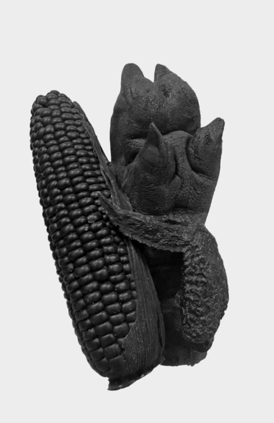 Still Life with Corn, Pig Foot, and Chicken Wing