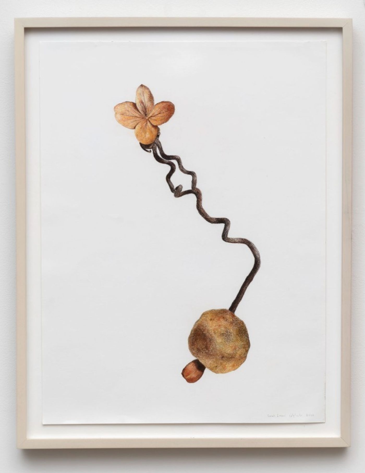 Image of When the wind dies down, and the rain grows gentle 01, 2022: Pastel pencil on paper