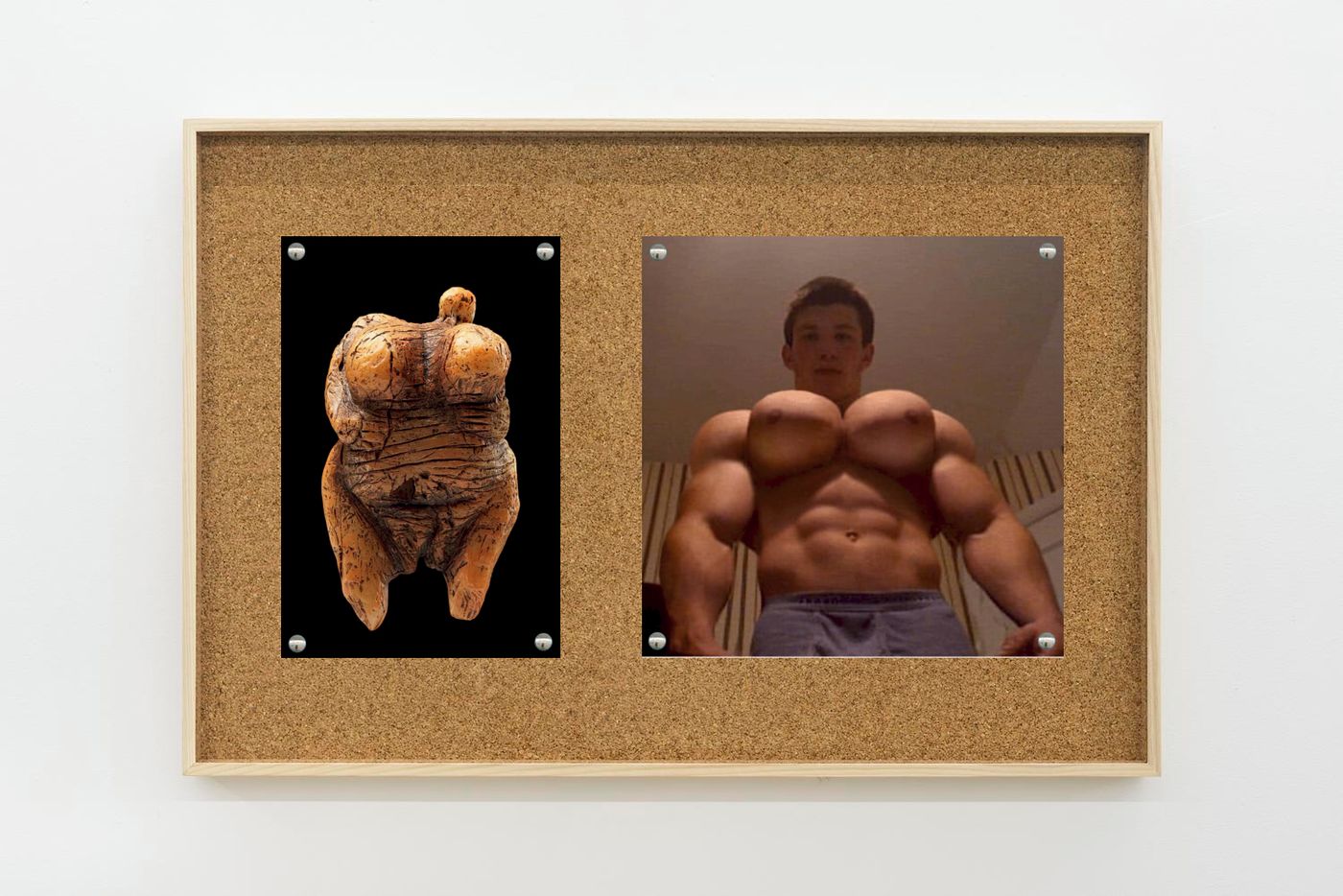 Image of Venus/muscles, 2025: Collage on corkboard