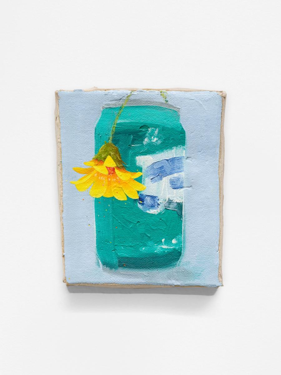 1 Coastal Gazania (with aluminum can)