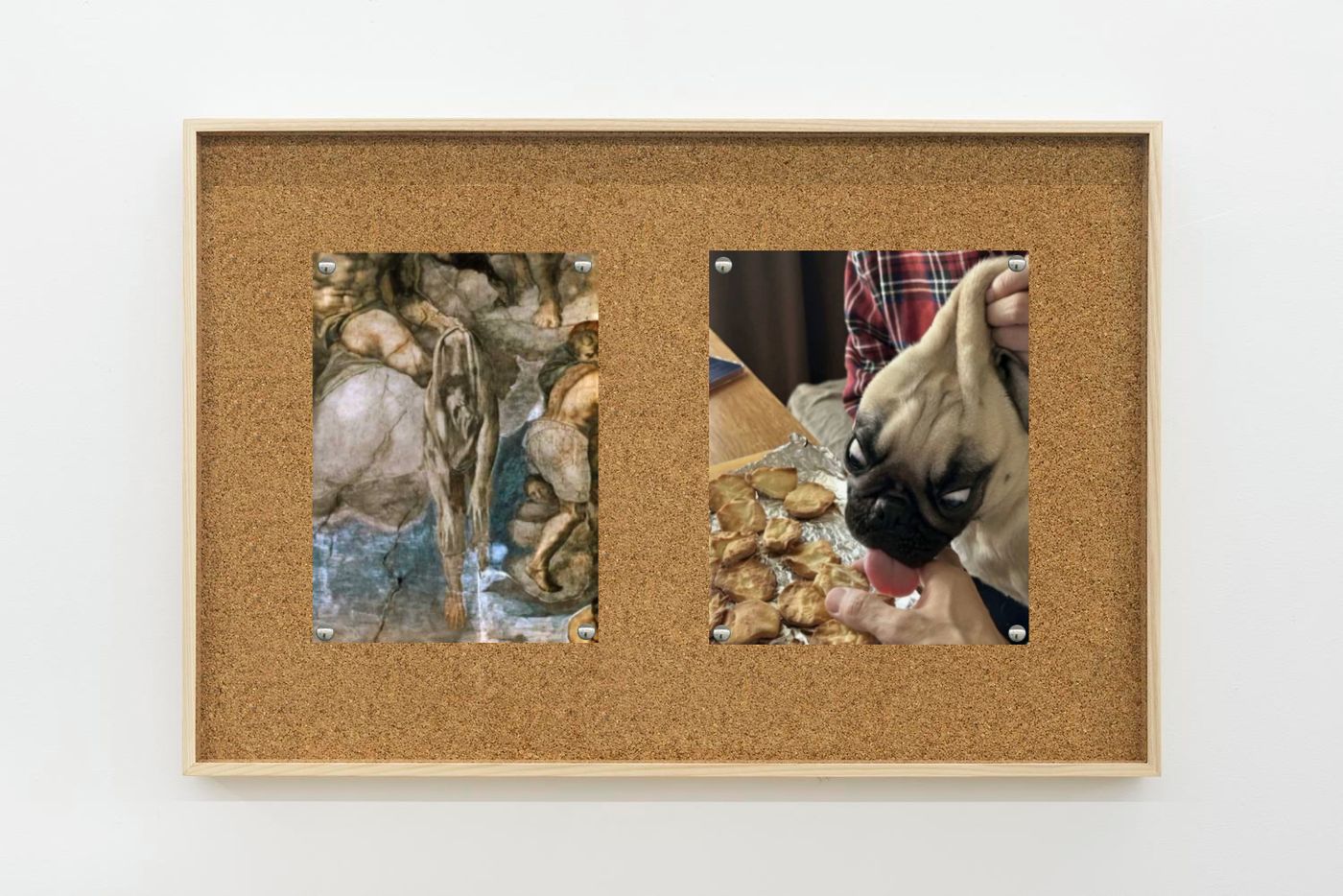 Image of Michelangelo/pug, 2025: Collage on corkboard