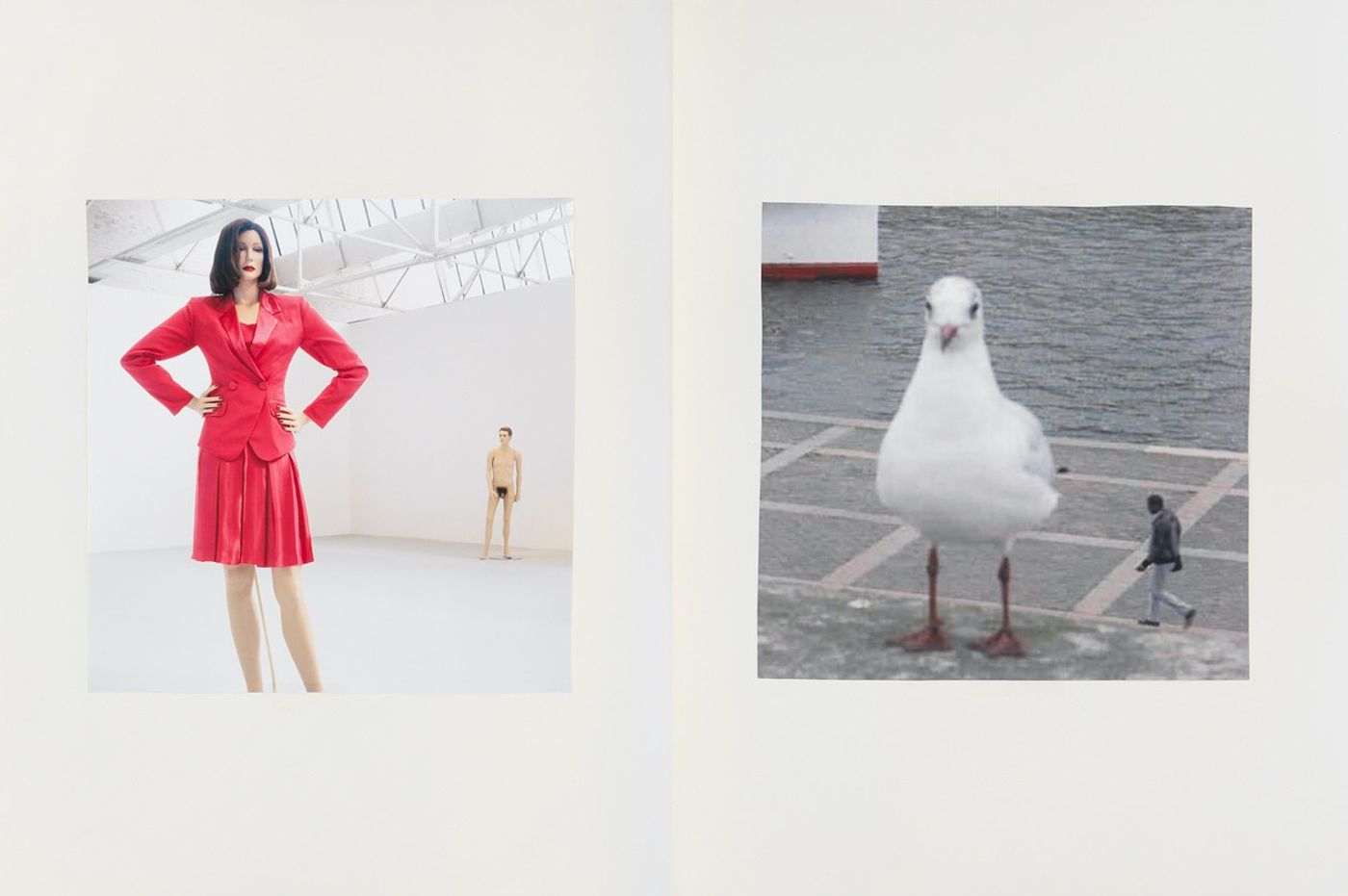Image of Comparison (chicks), 2020: Collage on paper