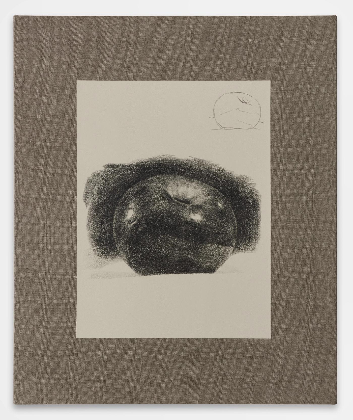 Image of Drawing an apple reveals the universe (pencil, for beginners), 2025: Oil, acrylic, and graphite on linen

Painting inside of Improve your drawing skills with just one drawing! Final Exam, 2025