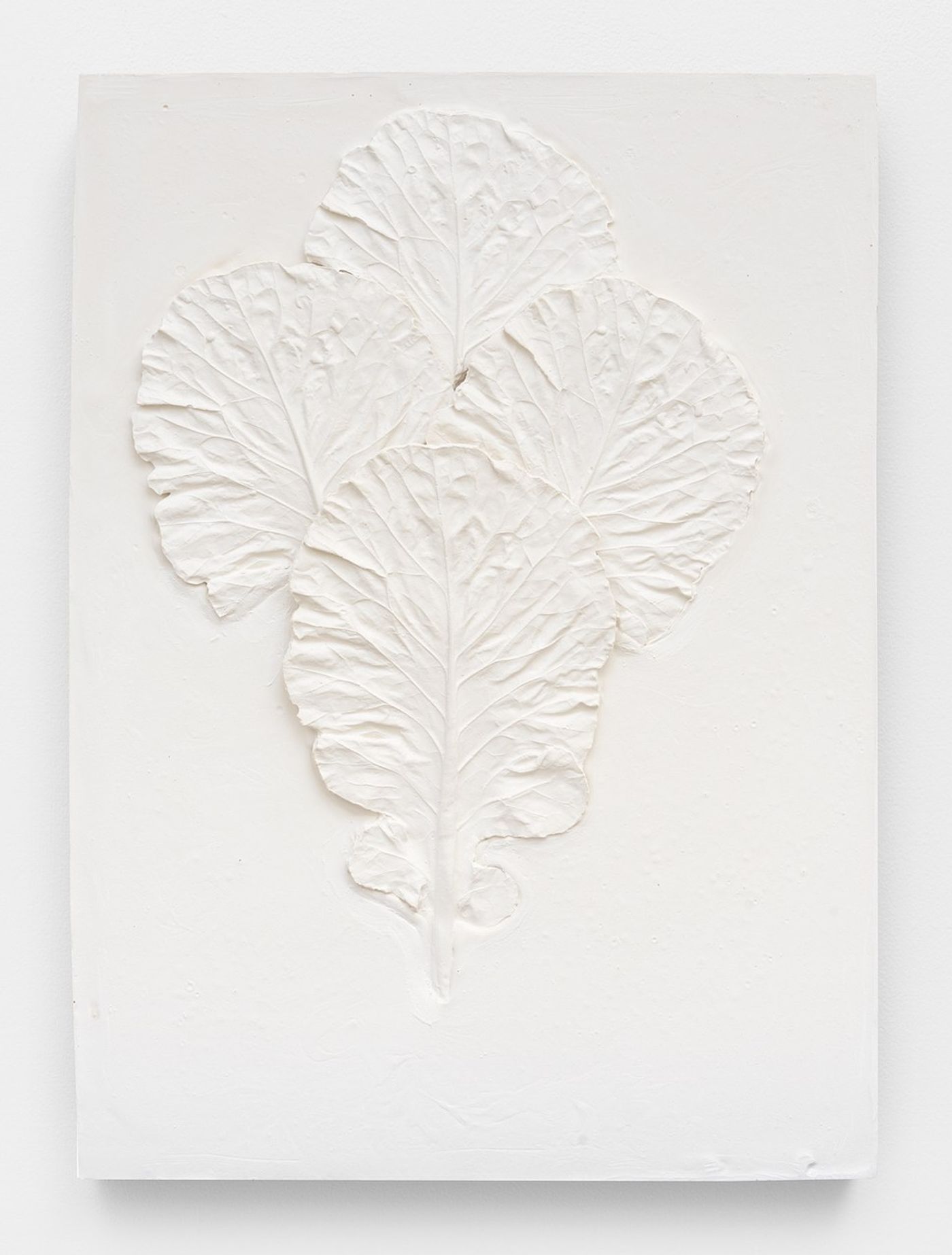 Image of Medium Collard Greens Composition with Four Leaves, 2022: Plaster