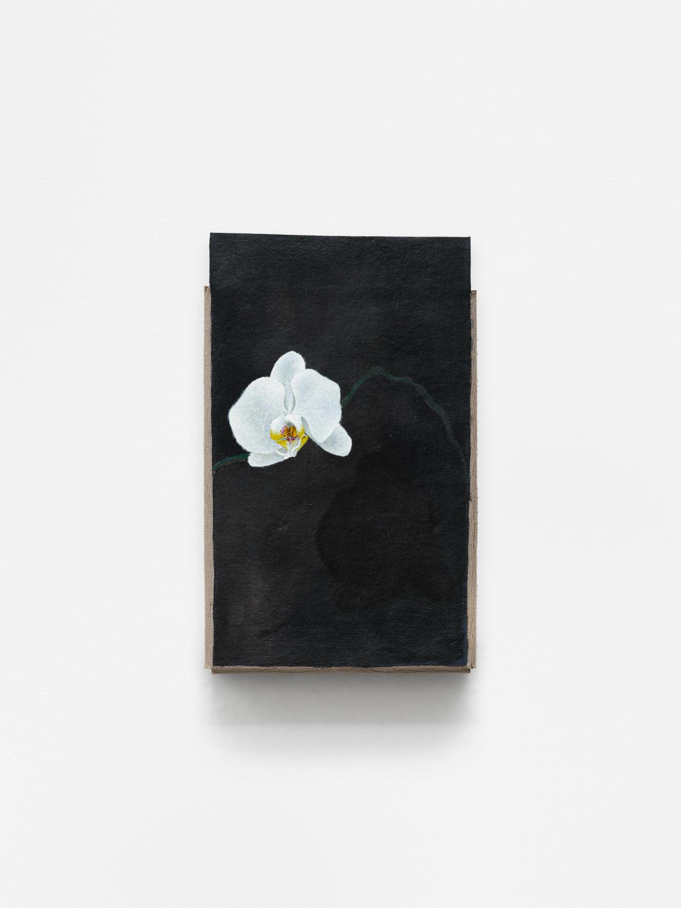 Image of  1 moth orchid (with shadow), 2026: Oil and pencil on ceramic
