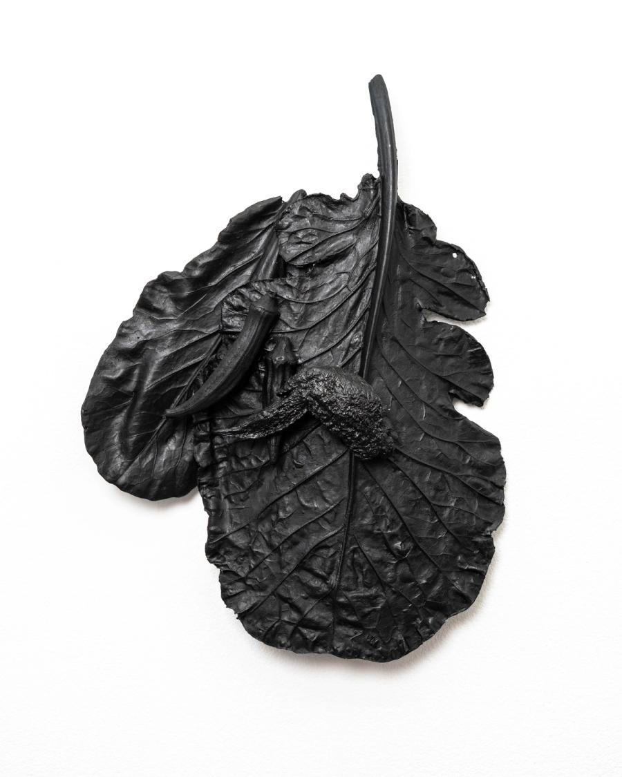 Still Life with Two Leaves, Okra Pod, and Chicken Wing