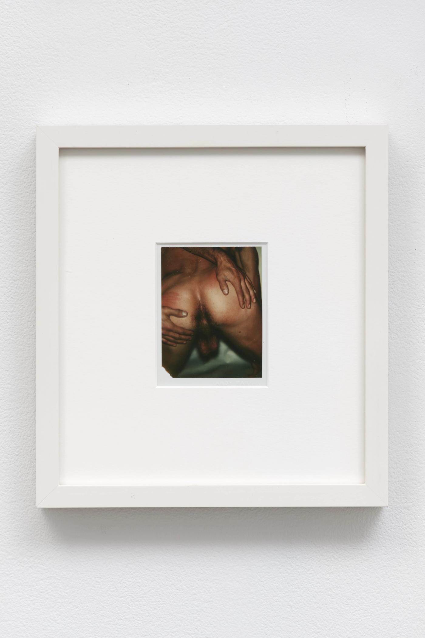 Image of Nude Male Model (1/2), 1977: Unique polaroid print (Polacolor Type 108)